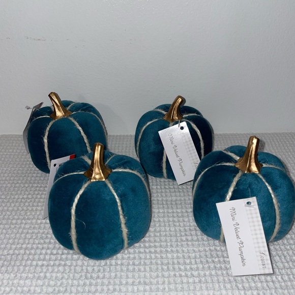 Mini velvet pumpkins - set of 4- target bullseye playground - Picture 1 of 7